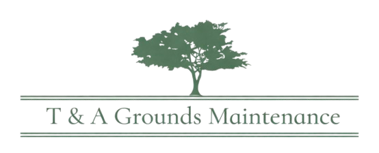 T & A Grounds Maintenance